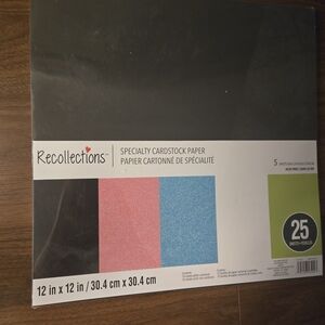 Recollections Specialty Cardstock Paper - Black, Pink, Blue